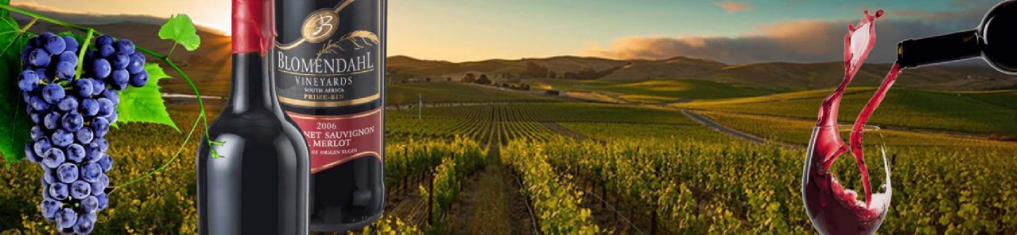 Blomendahl Vineyards